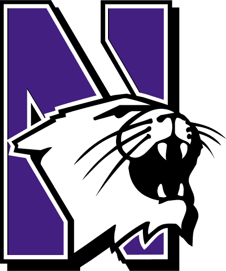 Northwestern Wildcats 1981-Pres Primary Logo diy iron on heat transfer